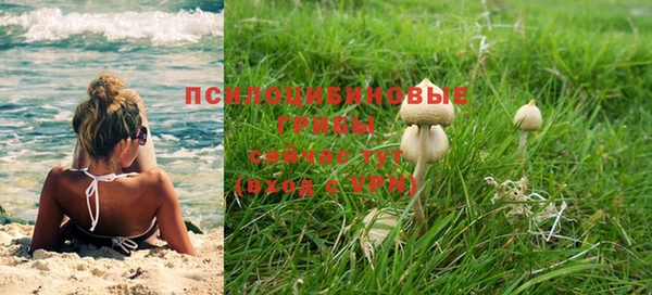 прущий лед Алексин