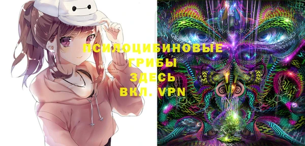 2c-b Армянск