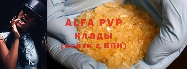 ГАЛЛЮЦИНОГЕННЫЕ ГРИБЫ Арсеньев